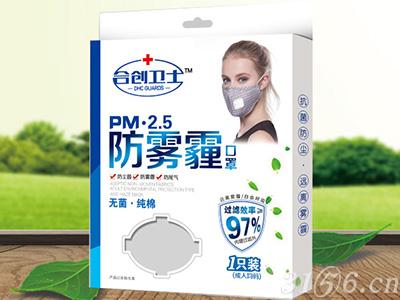 PM•2.5防雾霾口罩（成人型）