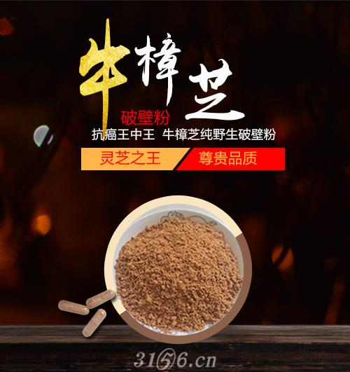 野生台湾牛樟芝破壁粉