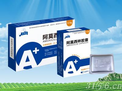 阿莫西林膠囊